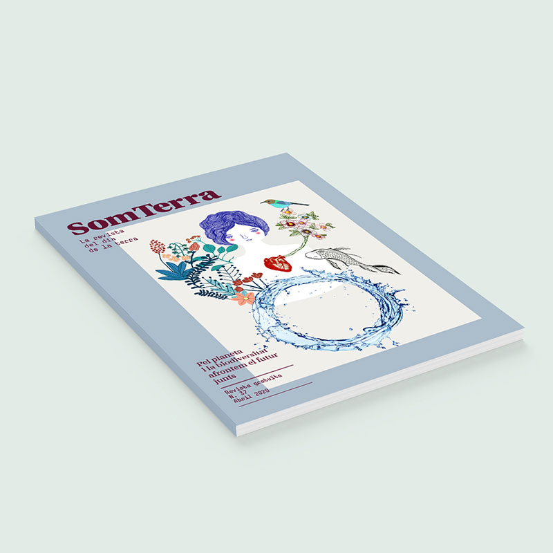 Diseño editorial revista SomTerra 2020